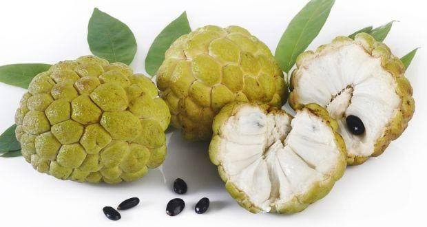 Custard Apple (24 pcs)