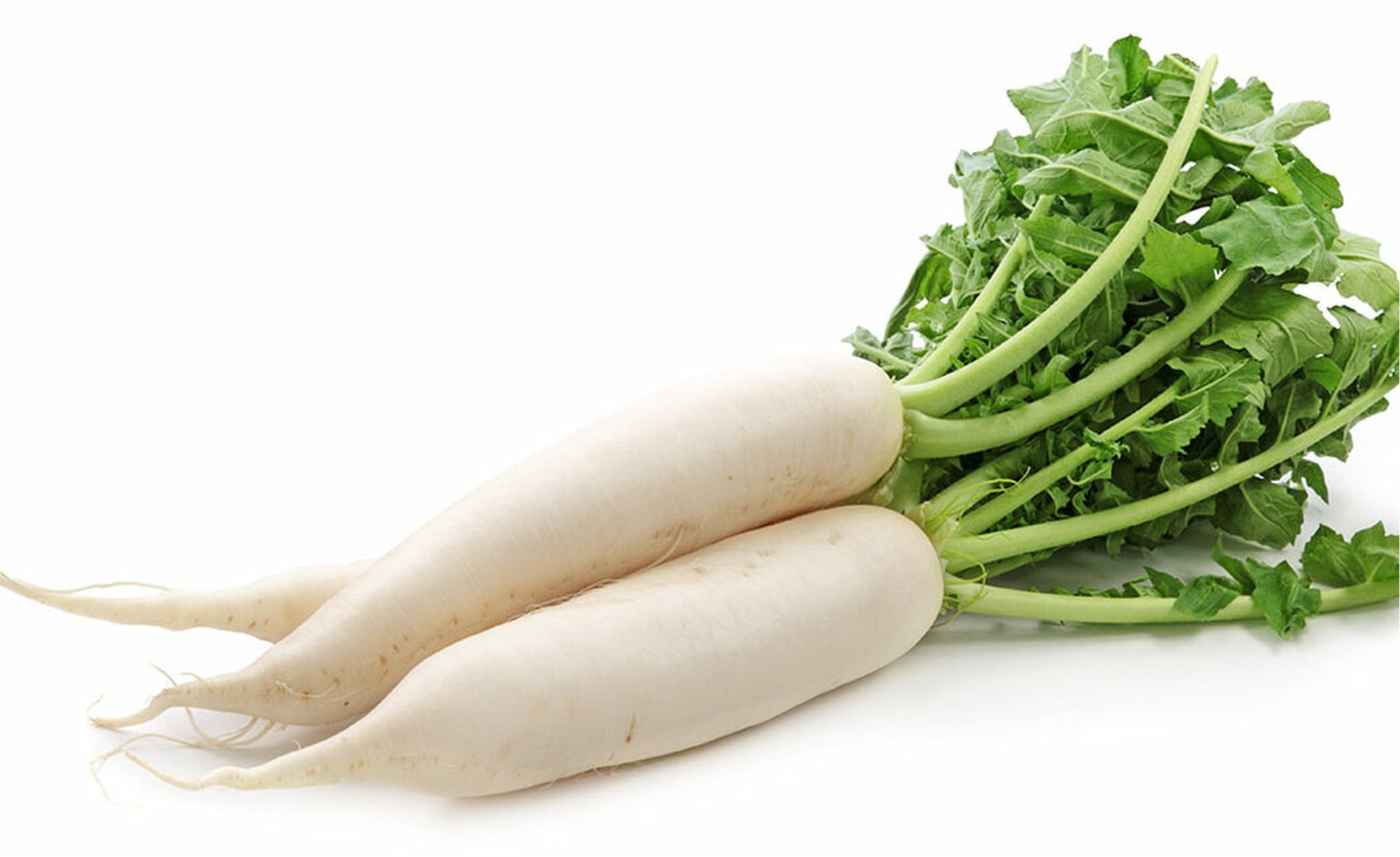 Radish White (Mooli) 1kg