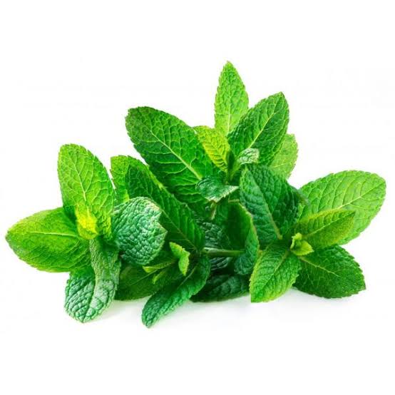 Mint (Podina)